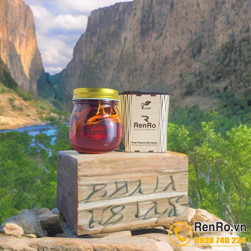 Quà tặng Đông trùng hạ thảo ngâm mật ong RenRo 300ml Quà tặng Đông trùng hạ thảo ngâm mật ong RenRo 300ml