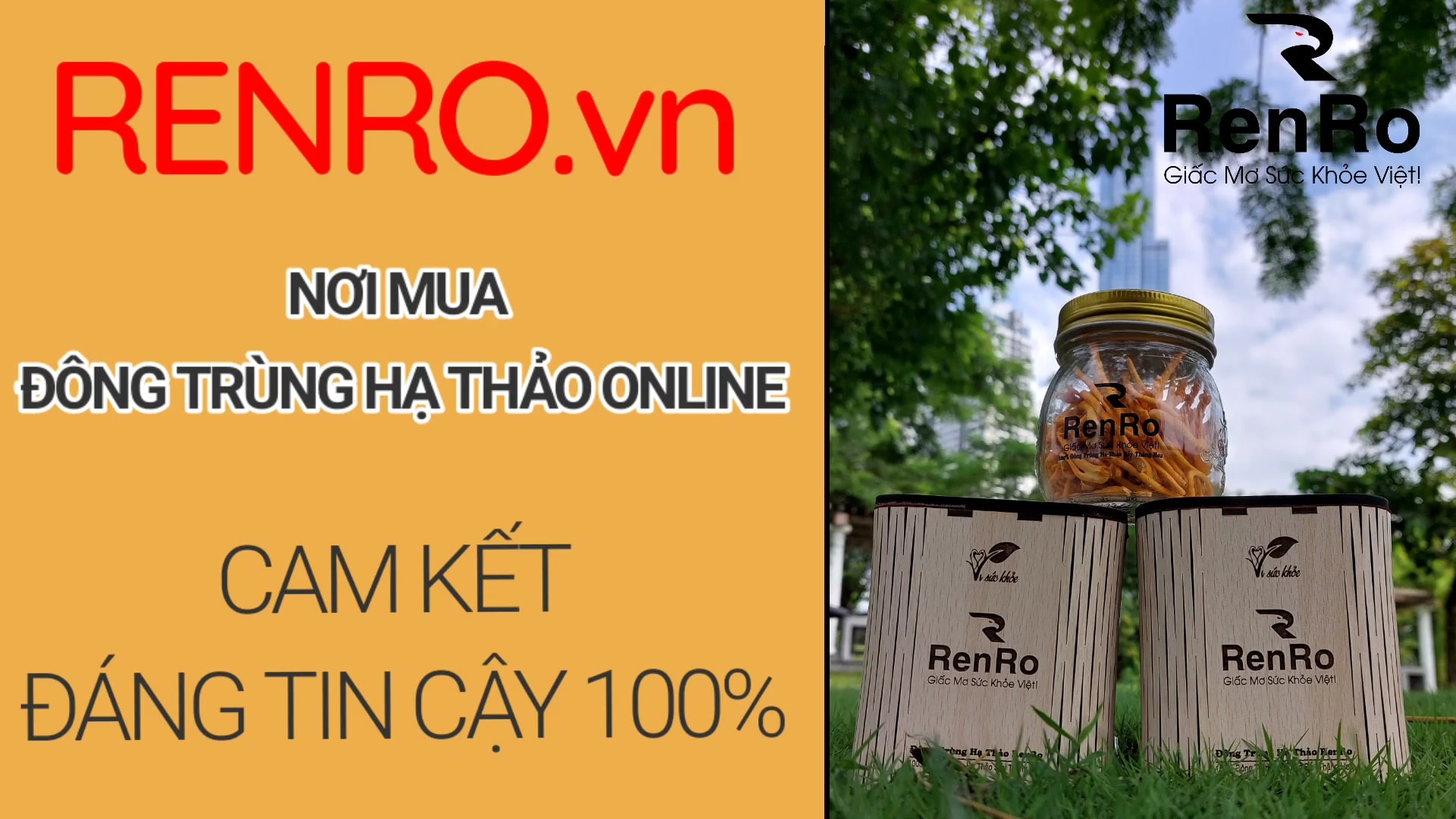 RenRo cửa hàng mua đông trùng hạ thảo tphcm uy tín RenRo cửa hàng mua đông trùng hạ thảo tphcm uy tín