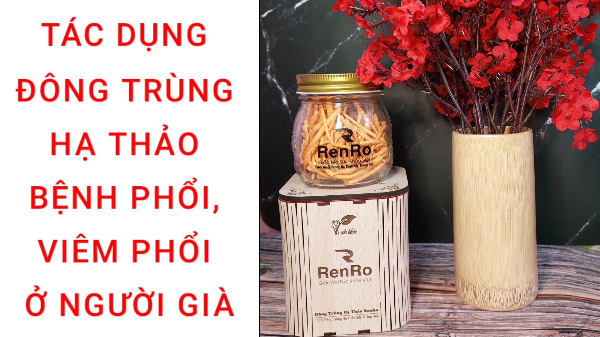 Tác dụng của đông trùng hạ thảo với phổi Tác dụng của đông trùng hạ thảo với phổi