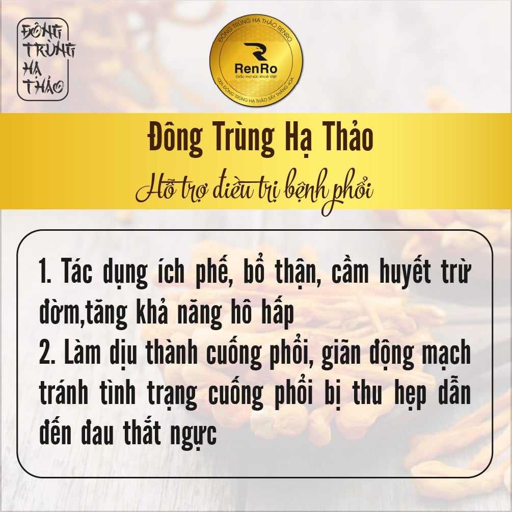 Tác dụng của đông trùng hạ thảo với phổi Tác dụng của đông trùng hạ thảo với phổi