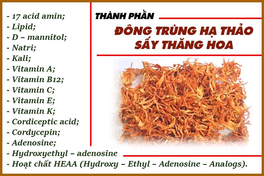 Thành phần đông trùng hạ thảo khô sấy thăng hoa  Thành phần đông trùng hạ thảo khô sấy thăng hoa