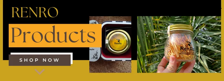 Tra dong trung ha thao renro