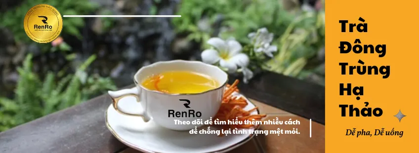 Trà đông trùng hạ thảo