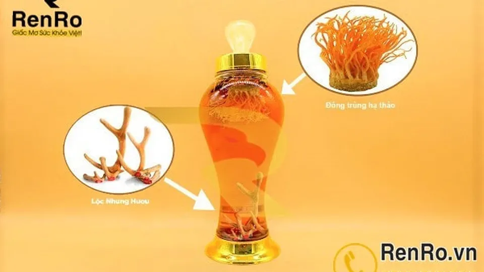 Nấm đông trùng hạ thảo sấy thăng hoa - Vị thuốc bổ rất cần cho nam giới ngoài 30 tuổi