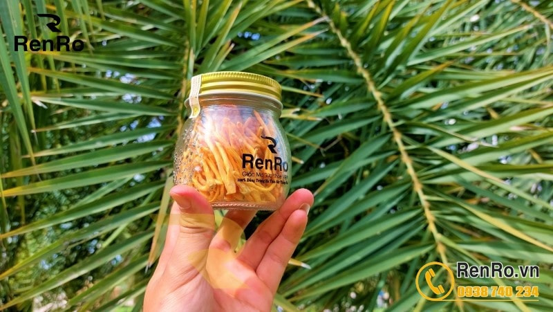 Uống đông trùng hạ thảo khô ngâm mật ong vào lúc nào tốt nhất Uống đông trùng hạ thảo khô ngâm mật ong vào lúc nào tốt nhất