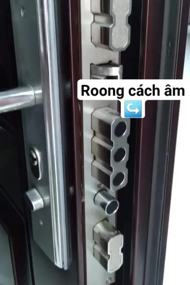 Cửa thép vân gỗ 1 cánh - Mã DY 981