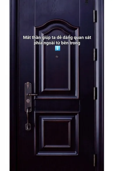 Cửa thép vân gỗ 1 cánh - Mã : A980