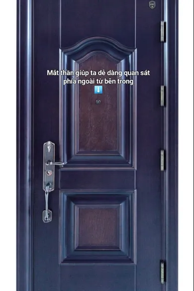 Cửa thép vân gỗ 1 cánh - Mã : ADY 970 - 1