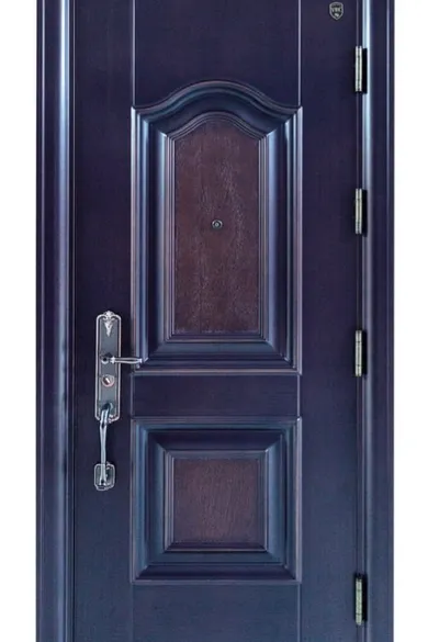 Cửa thép vân gỗ 1 cánh - Mã : ADY 970 - 1