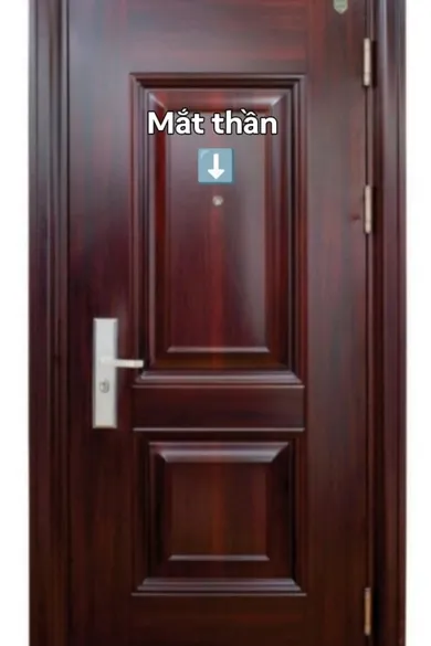 Cửa thép vân gỗ 1 cánh - Mã : ADY 981