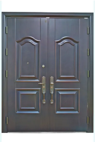 Cửa thép vân gỗ 2 cánh - Mã : ADY - 970 -2