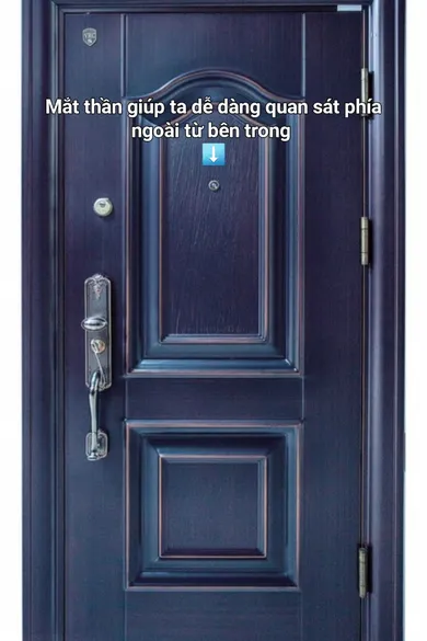 Cửa thép vân gỗ 1 cánh - Mã : DY 970 - 1