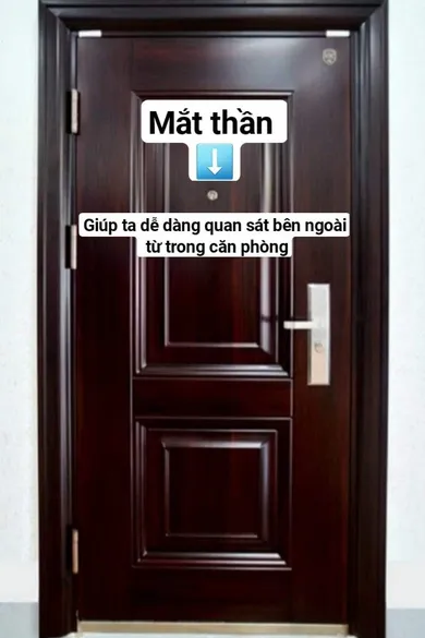 Cửa thép vân gỗ 1 cánh - Mã DY 981