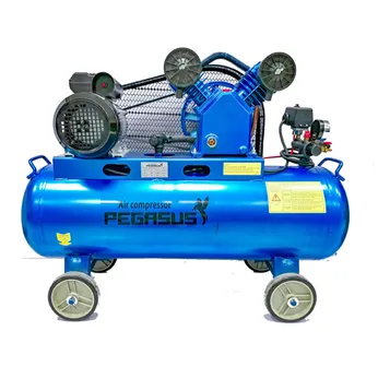 Máy Nén Khí PEGASUS TM-V-0.17/8-120L