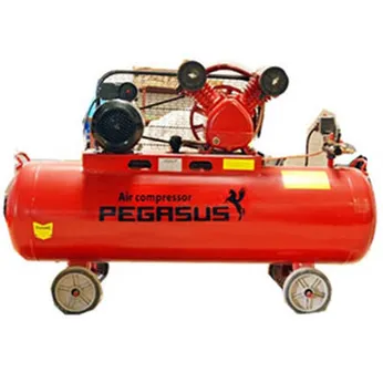 Máy Nén Khí PEGASUS TM-V-0.12/8-70L