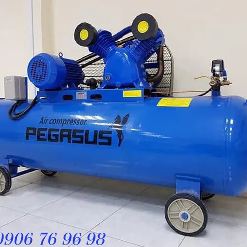 Máy Nén Khí PEGASUS TM-V-0.17/8-180L
