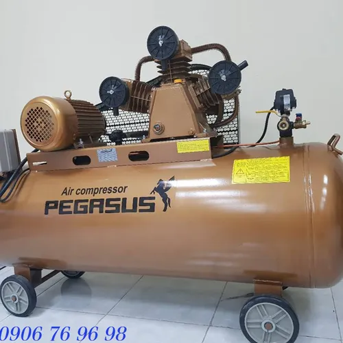 Máy Nén Khí PEGASUS TM-V-0.17/8-180L