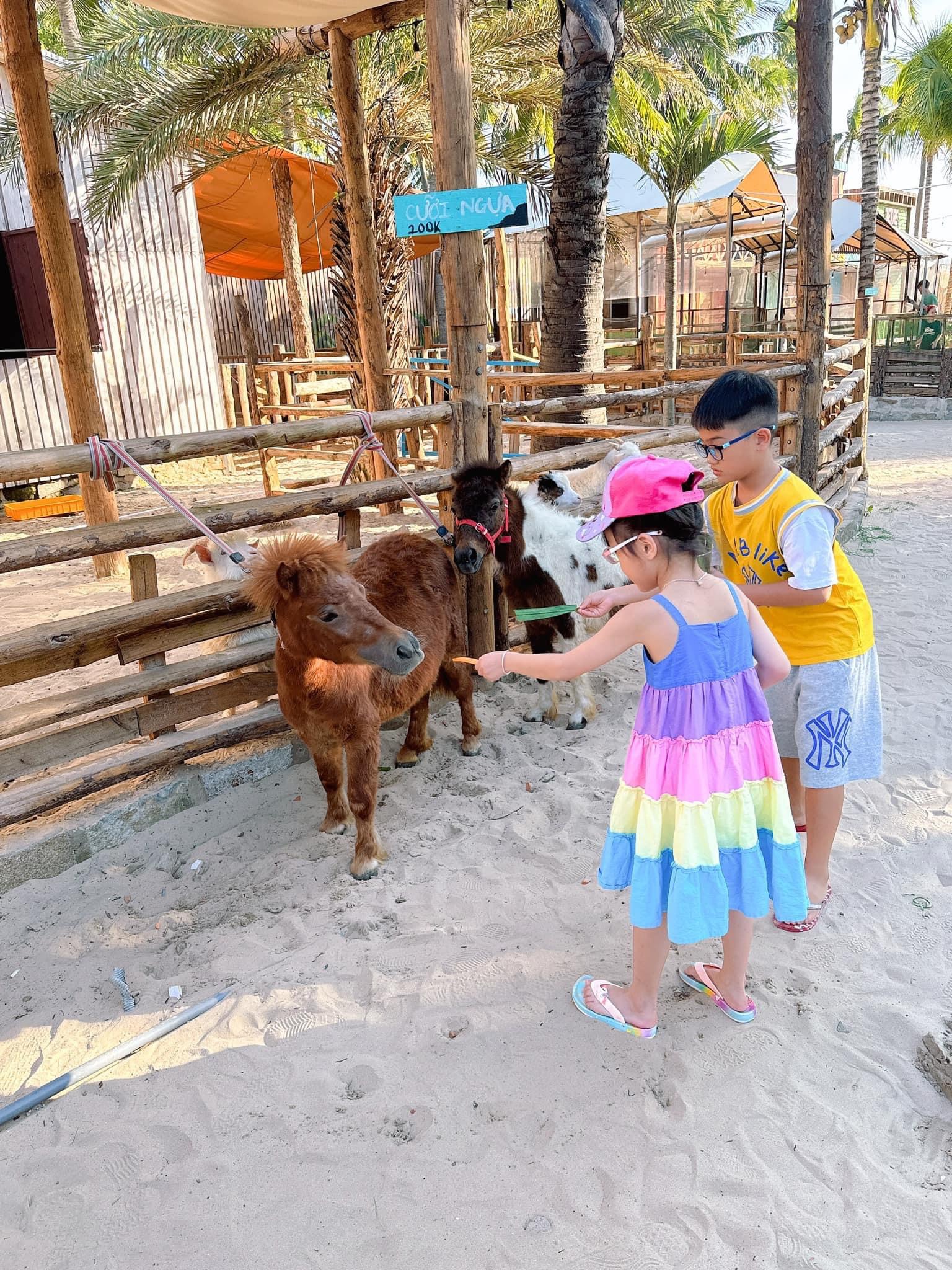 Phan ThiẾt 3n2Đ Xe Jeep Mango Beach Circus Land KhÁm PhÁ Cung