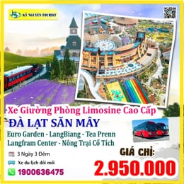 ĐÀ LẠT 3 SAO -  LANGBIANG LAND - TEA PREN - GIƯỜNG PHÒNG CAO CẤP
