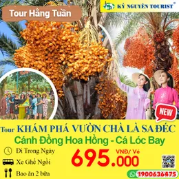 VƯỜN CHÀ LÀ ĐỒNG THÁP - KDL CÁNH ĐỒNG HOA HỒNG - CÁ LÓC BAY 1 NGÀY