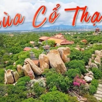 CHÙA CỔ THẠCH - TẮM BIỂN - DINH THẦY THÍM 1N1Đ