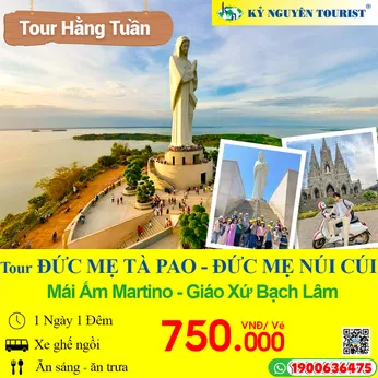 ĐỨC MẸ TÀ PAO - ĐỨC MẸ NÚI CÚI - MÁI ẤM MARTINO - 1N1Đ