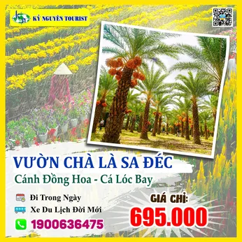 VƯỜN CHÀ LÀ ĐỒNG THÁP - KDL CÁNH ĐỒNG HOA HỒNG - CÁ LÓC BAY 1 NGÀY