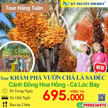 VƯỜN CHÀ LÀ ĐỒNG THÁP - KDL CÁNH ĐỒNG HOA HỒNG - CÁ LÓC BAY 1 NGÀY