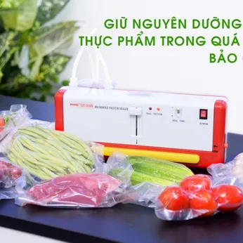 Máy Hút Chân Không Gia Đình DZ300B Chính Hãng Bảo Hành 6 Tháng