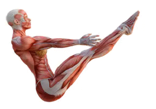 Cách giảm mỡ bụng