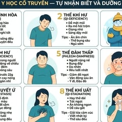 Dưỡng sinh dưới góc nhìn Đông Y và Khoa học hiện đại