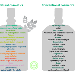Toxic substances in cosmetics: a real scourge