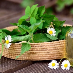 Liệu pháp hương thơm và tinh dầu