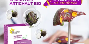 Chăm sóc sức khỏe gan trong mùa hè: Góc nhìn khoa học và y học cổ truyền