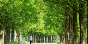 Hãy ra ngoài để Hạnh Phúc