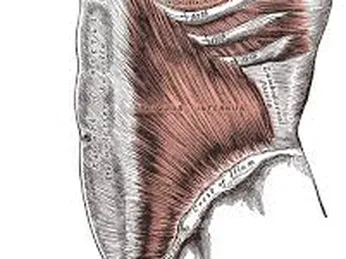 Cân cơ : Lý do gây đau cơ mà bạn không thể bỏ qua