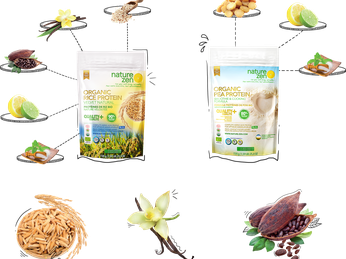 NATURE ZEN Plant-based protein