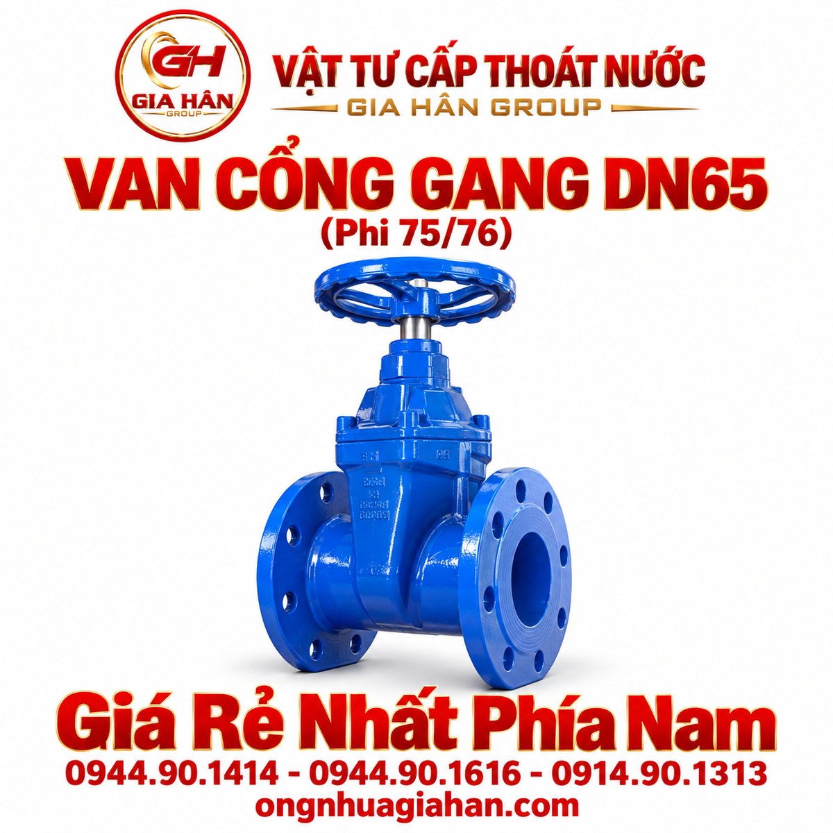 Van Cổng Gang DN65 (Phi 75/76)