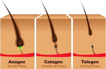 Sự thật về triệt lông nách vĩnh viễn có mọc lại hay không? Sự thật về triệt lông nách vĩnh viễn có mọc lại hay không?