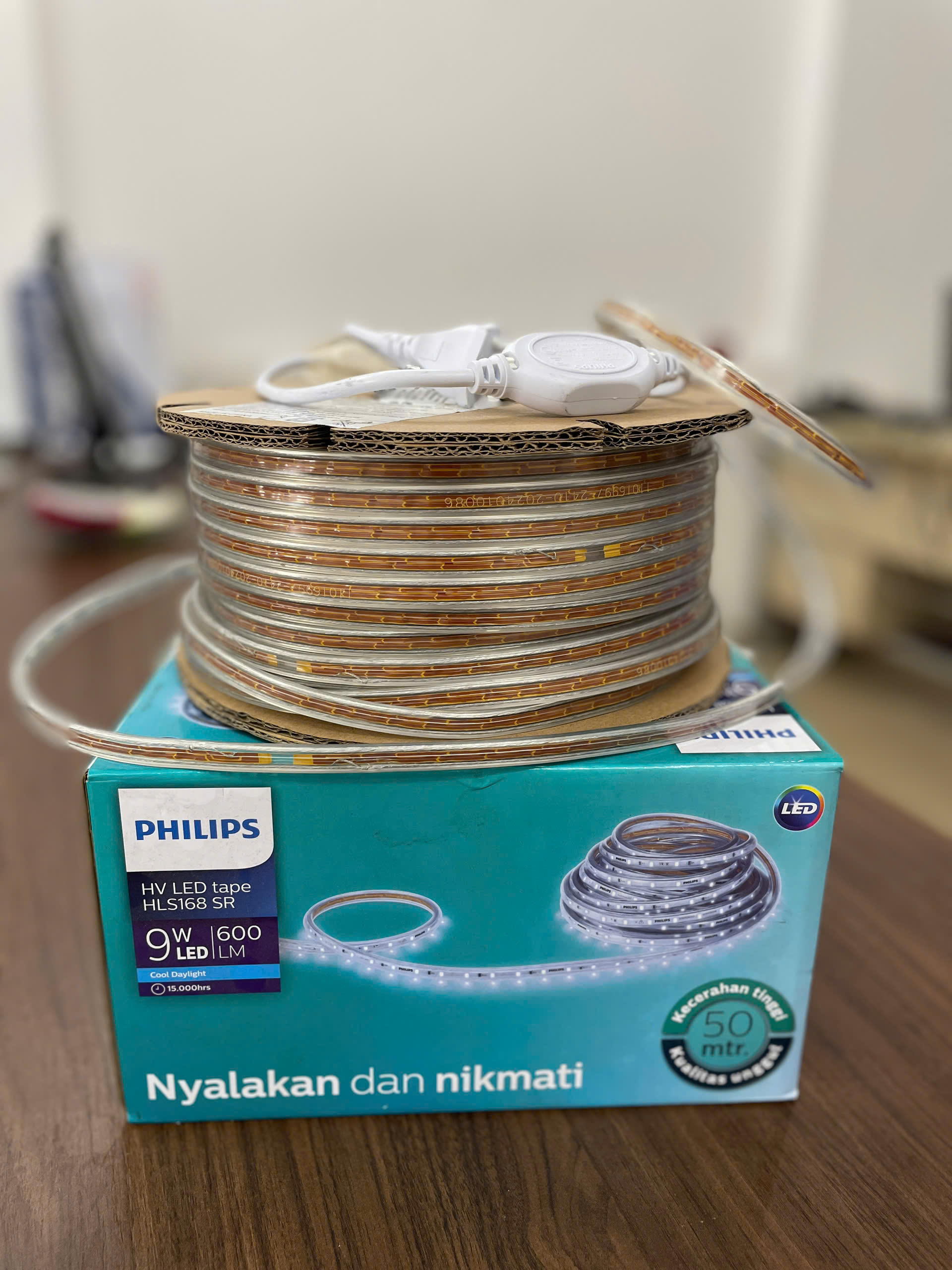 Tôn vinh vẻ đẹp kiến trúc với Đèn LED Dây Trang Trí Philips HV HLS168 50M.