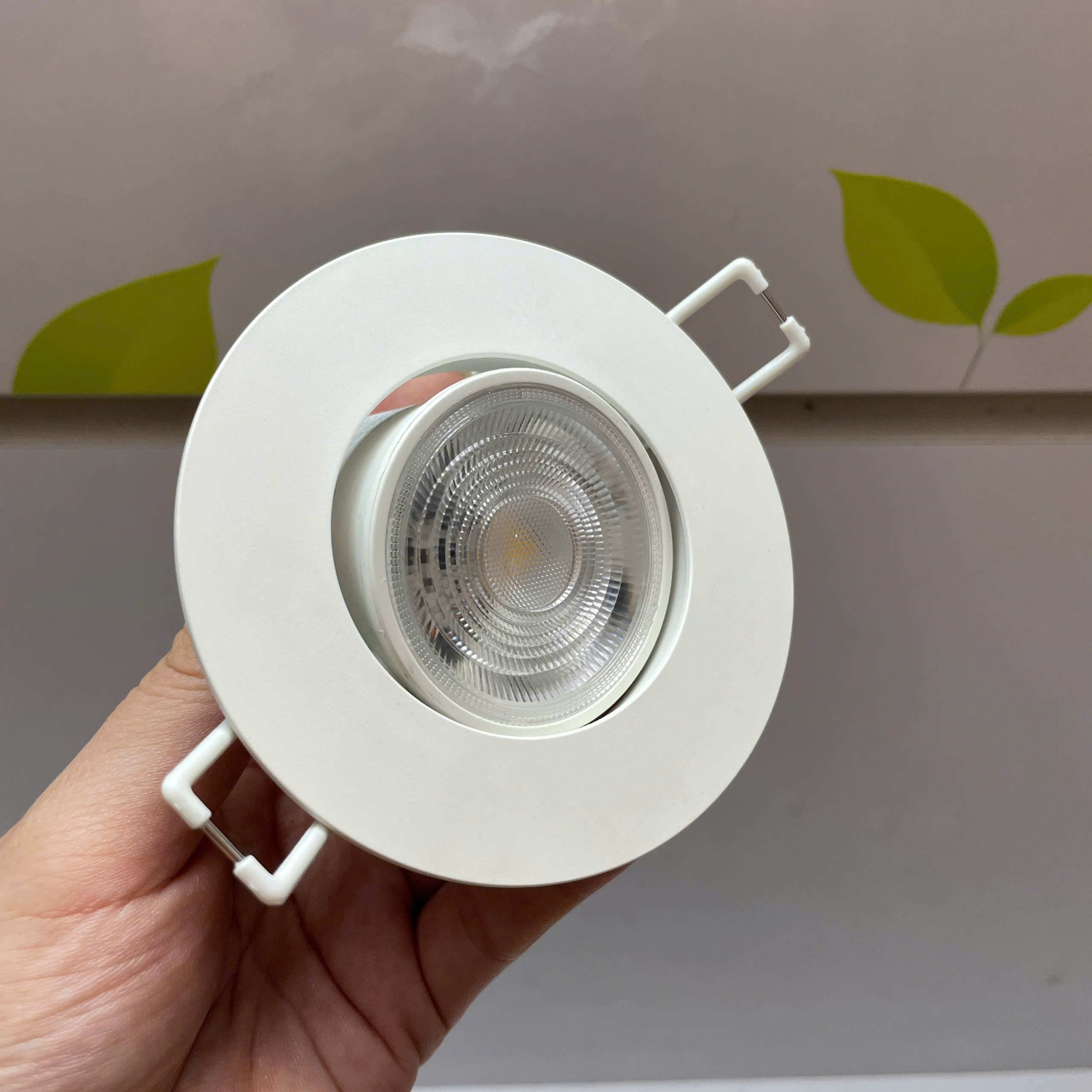 Ánh sáng ấm 2700K từ đèn downlight Philips SL190
