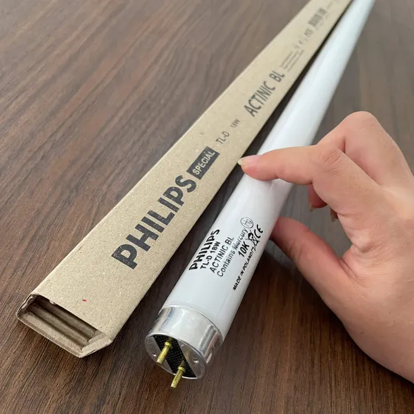 Bóng đèn huỳnh quang diệt côn trùng Philips TL-D 18W ACTINIC BL – Tạo không gian sạch khuẩn, cao cấp & hiệu quả vượt trội