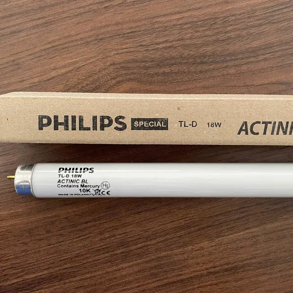 Bóng đèn huỳnh quang diệt côn trùng Philips TL-D 18W ACTINIC BL – Tạo không gian sạch khuẩn, cao cấp & hiệu quả vượt trội