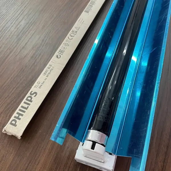 Khám phá Ánh Sáng Tinh Hoa: Bộ Máng Đèn Phản Quang Inox 0m6 Huỳnh Quang Soi Màu UV Philips – Chuẩn Xác Từng Sắc Độ.