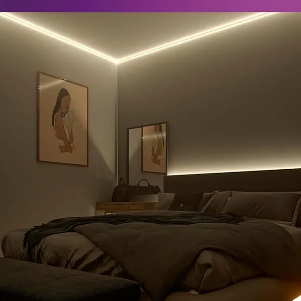 ✨ Kiến Tạo Không Gian Tinh Tế | Trải Nghiệm Đèn Trang Trí LED Dây Philips Oval LS161 COB 4000K Ngay