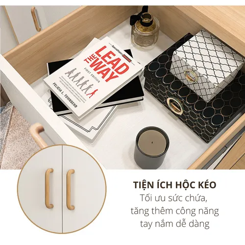 Tủ giày đẹp thiết kế có kèm ghế ngồi tiện lợi TG48