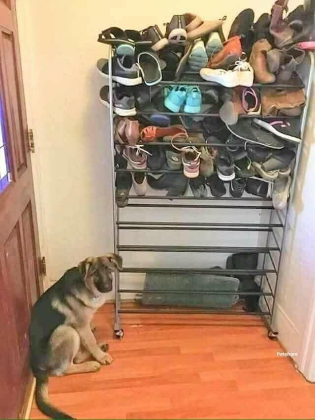 buc-hinh-la-ve-gia-de-giay-trong-mot-ngoi-nha-va-li-do-hai-huoc--7b7ec4.jpg (57 KB)