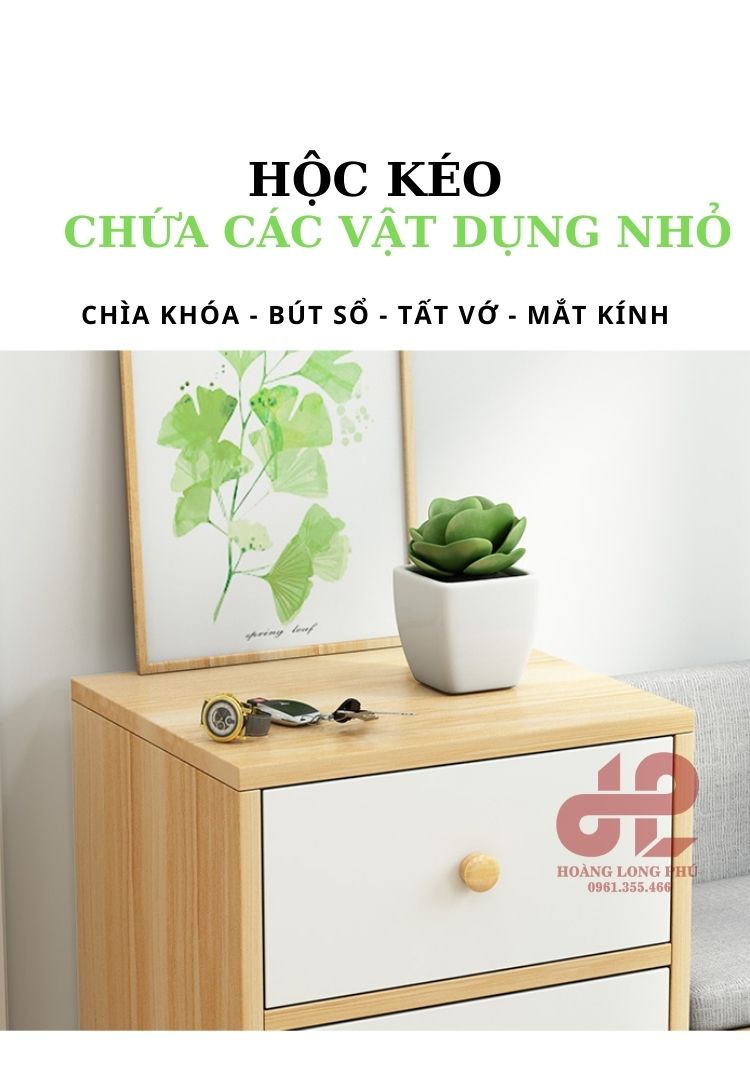 chi tiết tủ giày chi tiết tủ giày