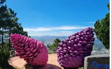 TOUR CHECK-IN ĐỊA ĐIỂM HOT NHẤT ĐÀ LẠT