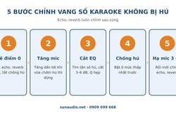 Cách Chỉnh Vang Số Karaoke Không Bị Hú: 5 Bước Và Bảng Thông Số Tham Khảo